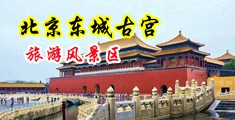 高中生小嫩狗男同搞基中国北京-东城古宫旅游风景区